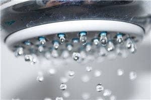 Shower head legionella bacteria risk